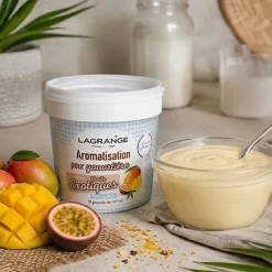 Arôme pour yaourt Fruits exotiques 425 g 380410 Lagrange