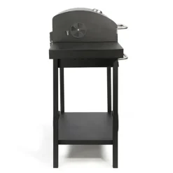 Barbecue à charbon rectangle DOC250 Livoo