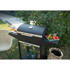Barbecue à charbon rectangle DOC250 Livoo