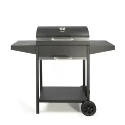 Barbecue à charbon rectangle DOC250 Livoo