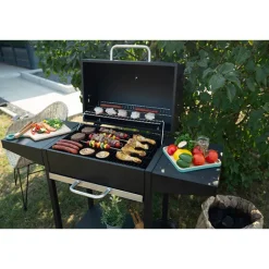 Barbecue à charbon rectangle DOC250 Livoo