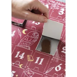 Calendrier de l'avent Sorcier Scrapcooking