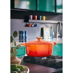 Cocotte fonte rond 26 cm volcanique Le Creuset