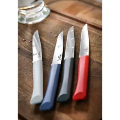 Coffret 4 couteaux de table Bon Appétit Opinel