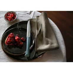 Coffret 4 couteaux de table Glam Opinel