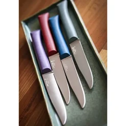 Coffret 4 couteaux de table Glam Opinel