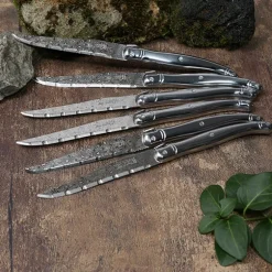 Coffret 6 couteaux Laguiole tout inox Damas Jean Dubost