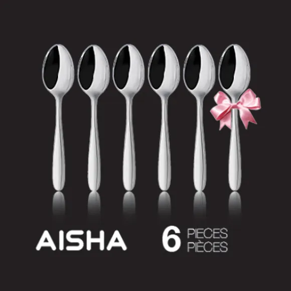 Coffret 6 cuillères à café Aisha Inoxriv