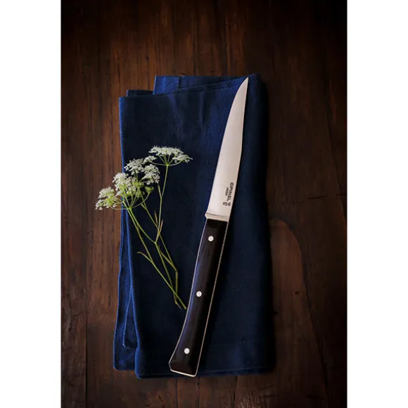 Coffret de 4 couteaux de table à lame lisse Facette frêne sombre Opinel