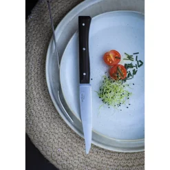 Coffret de 4 couteaux de table à lame micro dentée Facette ardoise Opinel