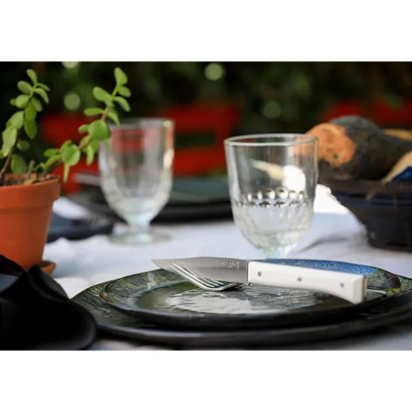 Coffret de 4 couteaux de table à lame lisse Facette blanc Opinel