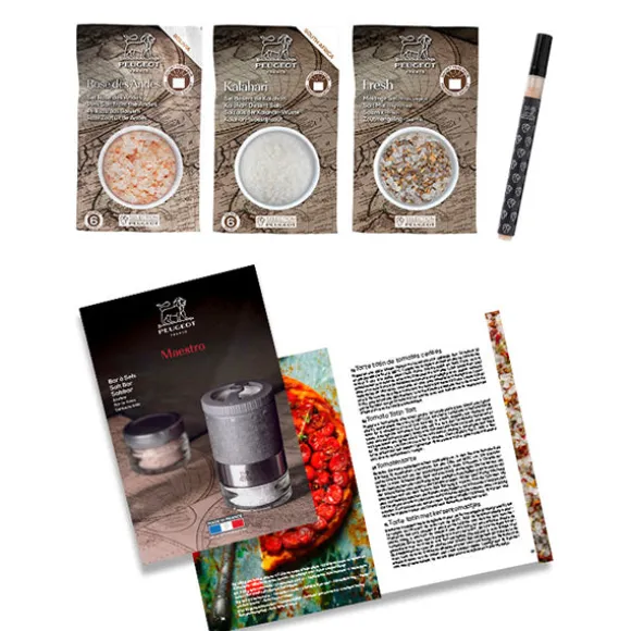 Coffret moulin à sel Maestro à réservoirs interchangeables et 3 sels Peugeot
