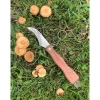 Couteau à Champignons 7 cm avec brosse Evasion Pradel Excellence