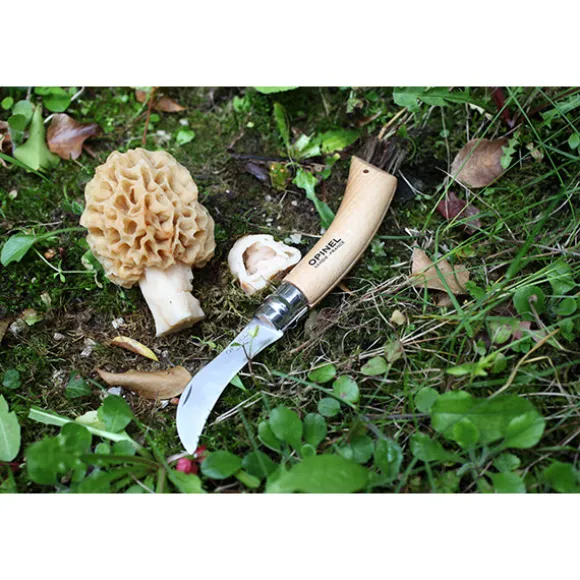 Couteau à champignons pliant N°08 lame inox 8 cm Opinel