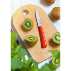Couteau Cranté N°313 Essentiels+ Rouge 10 cm inox Opinel