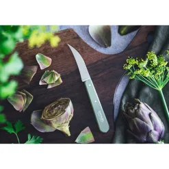 Couteau à légumes N°114 lame inox 7 cm sauge Opinel