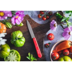 Couteau office N°113 lame crantée inox 10 cm rouge Opinel