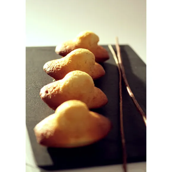 Elastomoule 8 madeleines De Buyer