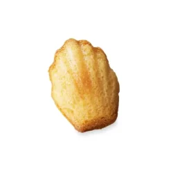 Elastomoule 20 mini-madeleines De Buyer