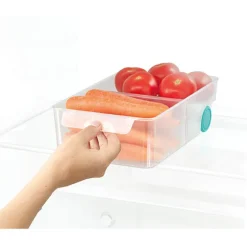 Grand bac rangement FridgeStore Joseph Joseph