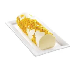 Kit Moule pour bûche glacée Starlight Silikomart