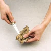 Lot de 2 lancettes à huitres