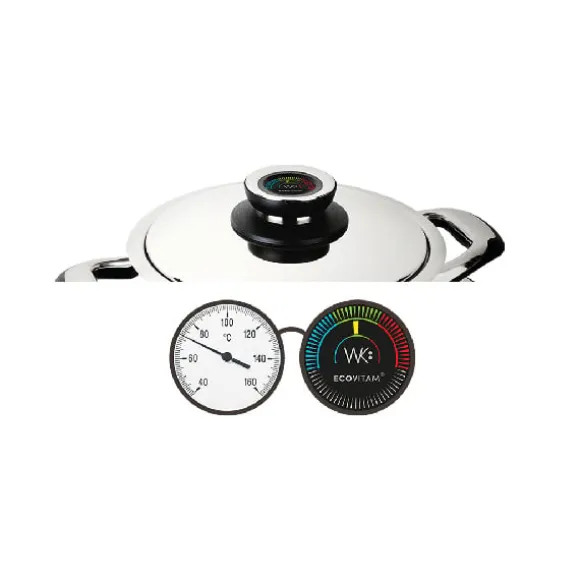 Lot faitout basse température et insert cuit vapeur 20cm Ecovitam