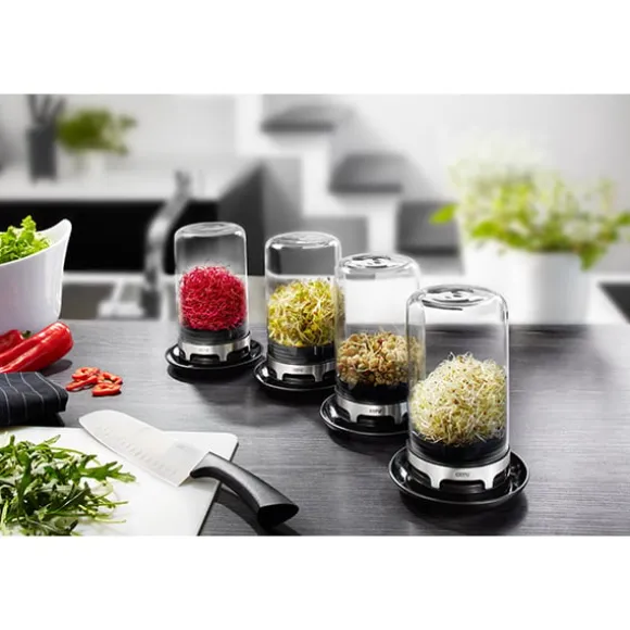 Mini-serre en verre pour jeunes pousses Bivita Gefu