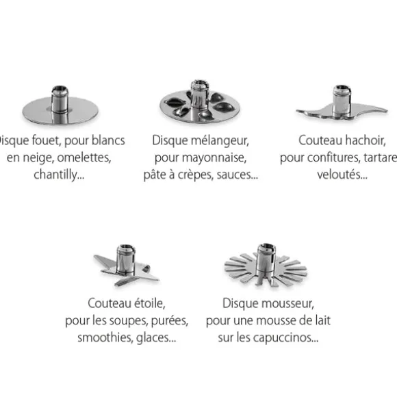 Mixeur plongeant 1000 W Mathon