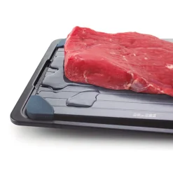 Plaque pour décongeler les aliments Ibili
