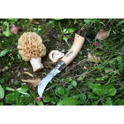 Set brosse à champignons et couteau à champignons pliant N°8