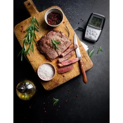 Thermo-sonde digitale de cuisson Mastrad