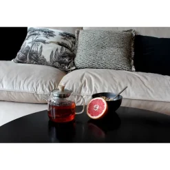 Théière Oscar en verre borosilicate et inox 0,55 L Ogo