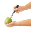 Vide pomme Sabatier