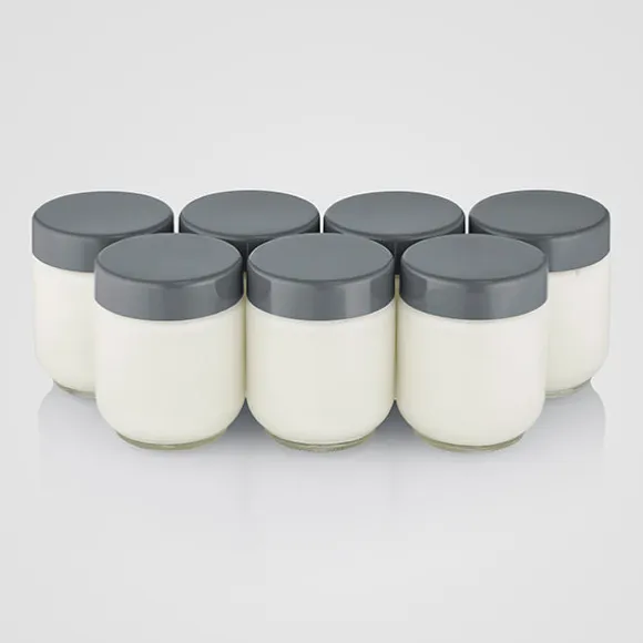 Yaourtière 7 pots grise 18 W JG3510 Severin